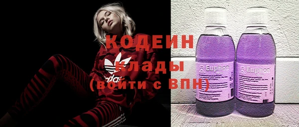 ECSTASY Богданович